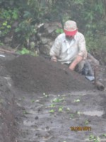 /album/viveros-de-cafe/a3-jpg/